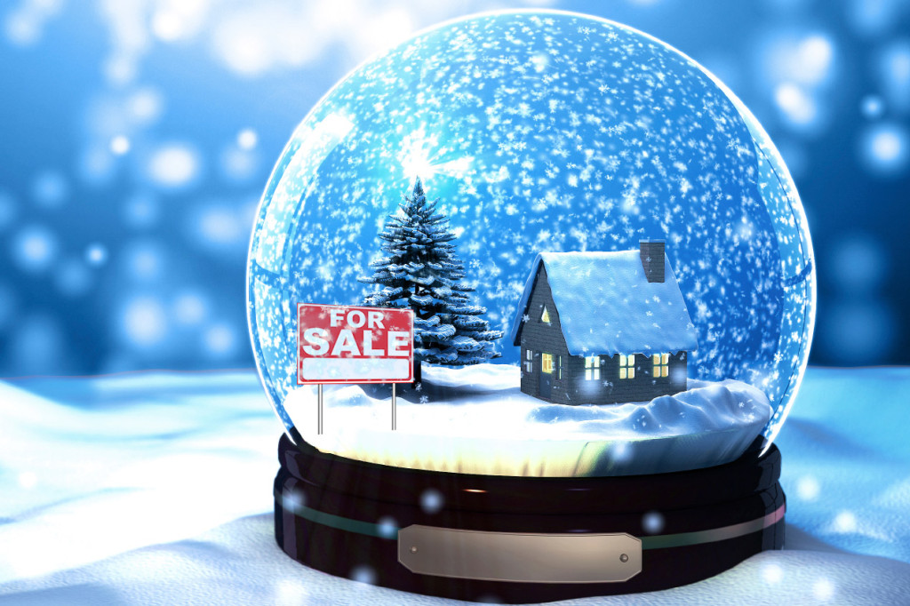 snow-globe-house